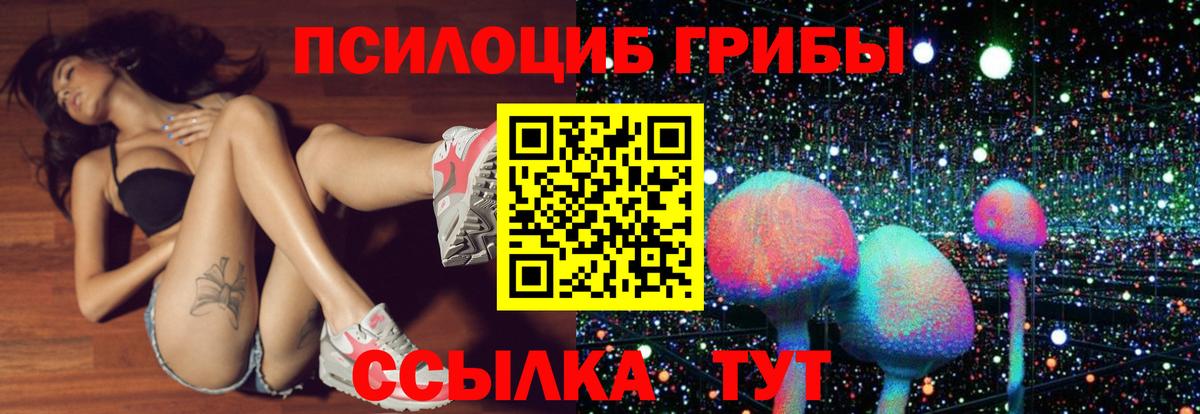 Галлюциногенные грибы Cubensis  закладки  Дятьково  Вход с VPN 
