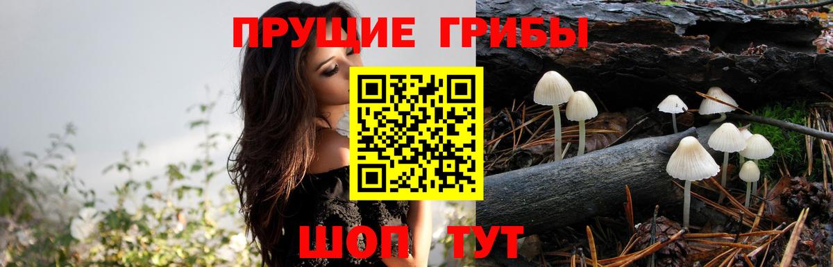 Псилоцибиновые грибы Magic Shrooms Дятьково